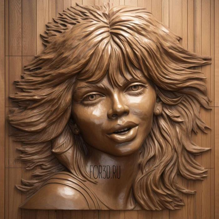 Tina Turner 1 stl model for CNC